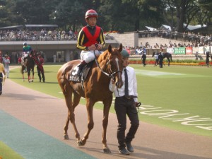 サフラン賞