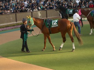 東京新聞杯